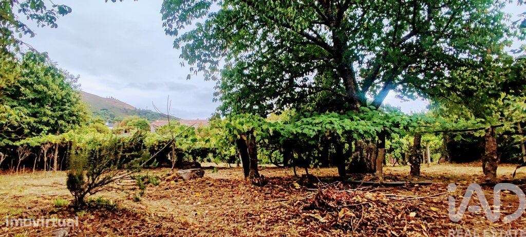 Terreno em Loivo - Grande imagem: 4/29