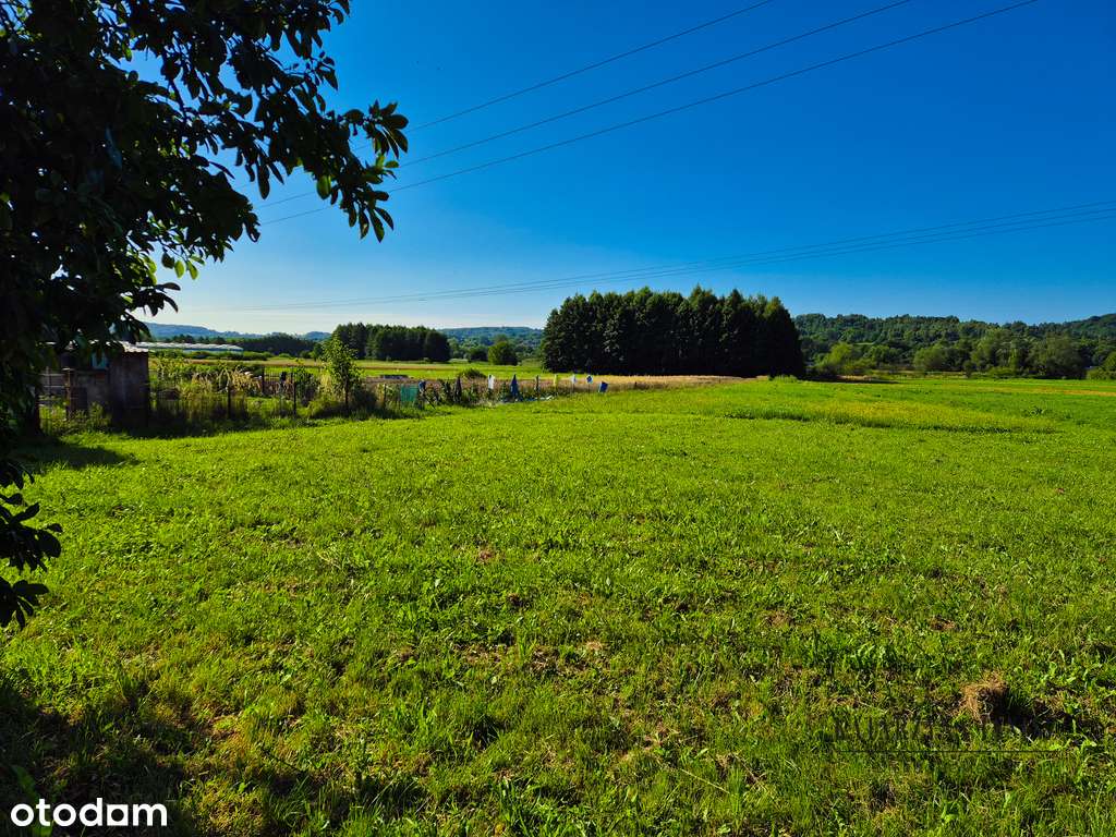 Działka w Krzeszowicach - 8 a-0