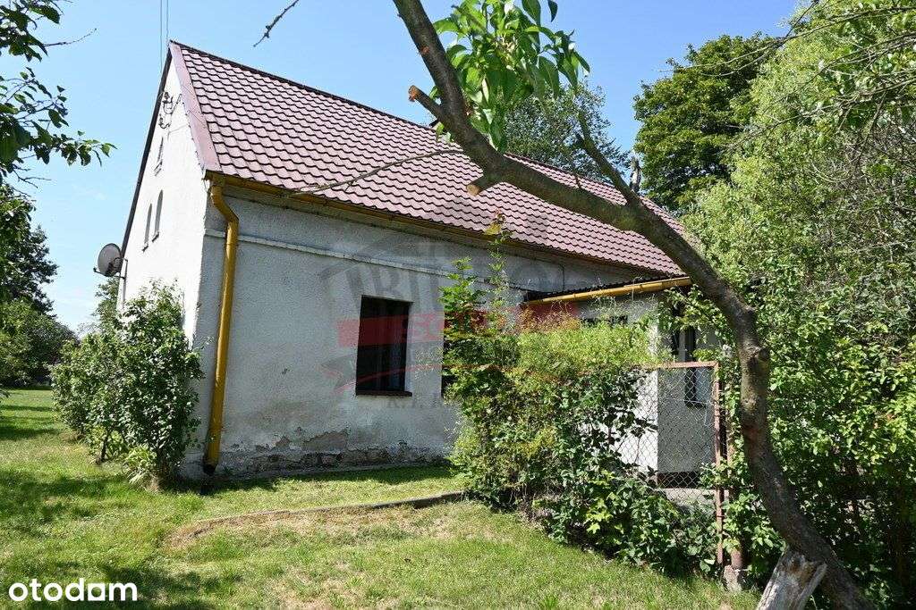 Suchy Bór/Dom 100 m2 na dużej działce! - Pełny obrazek: 2/12