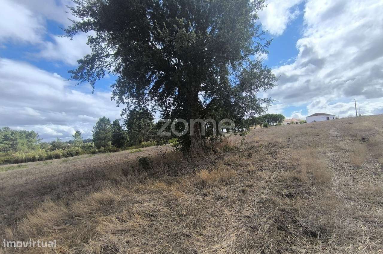 4 Terrenos Área Total de 20.778 m2 - Urbanizável (parcialmente)-4