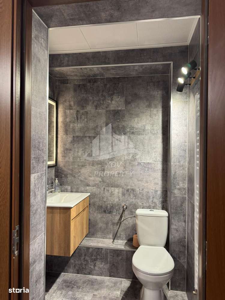 Pensiune/ Vila Valea Avrigului-8