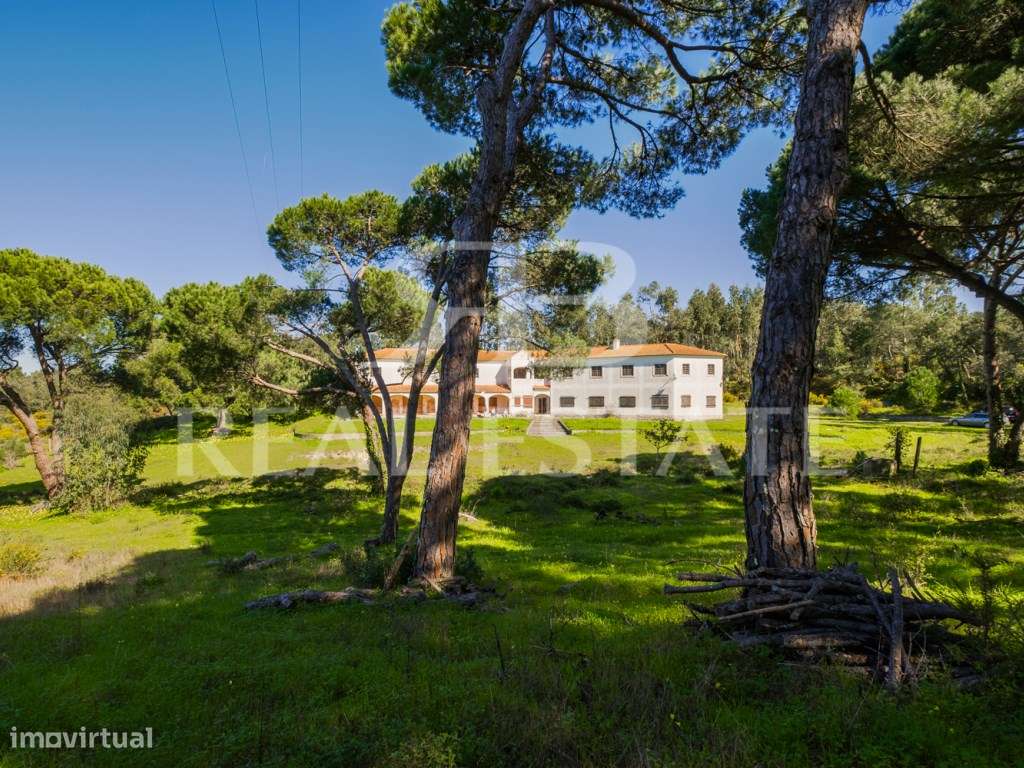 COUNTRY COTTAGE | Sesimbra-50