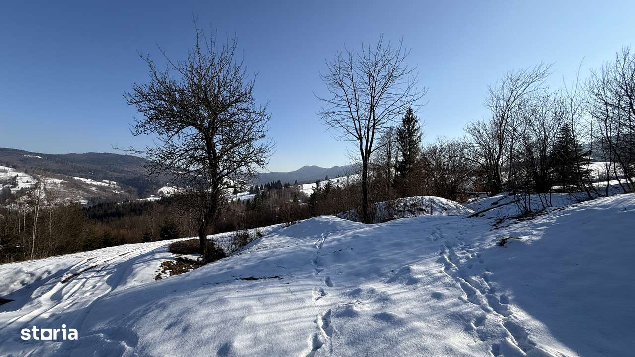 Teren extravilan 2.1 ha Sălătruc, Vama-6