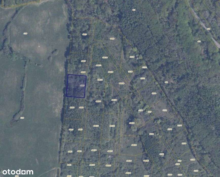 Działka 426/5 w Pręgowie Górnym - Pełny obrazek: 2/5