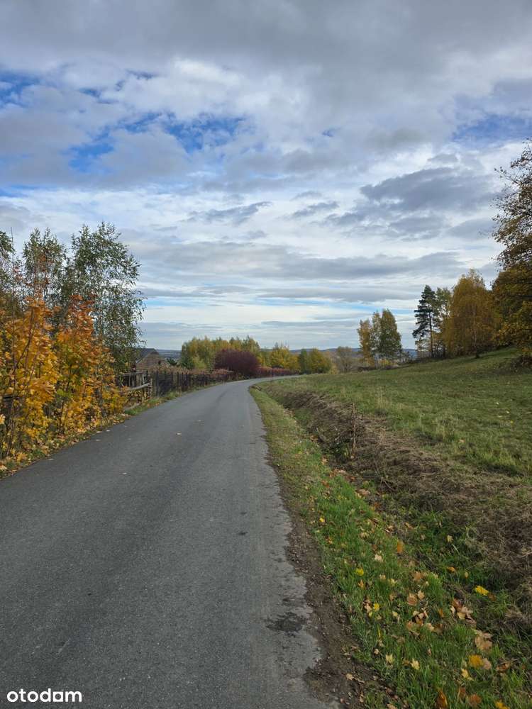 4 Działki przy lesie z widokiem na Góry Sowie-17