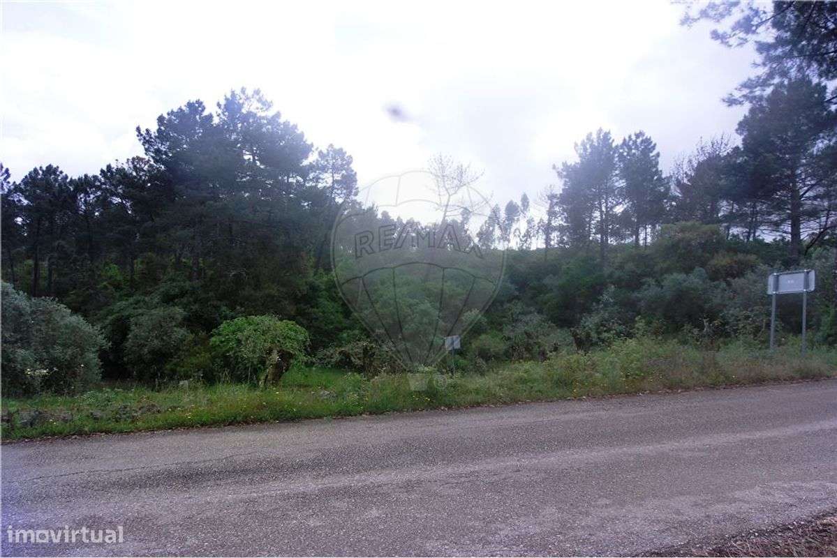 Terreno em Estradinha, Santiago da Guarda - Grande imagem: 4/4