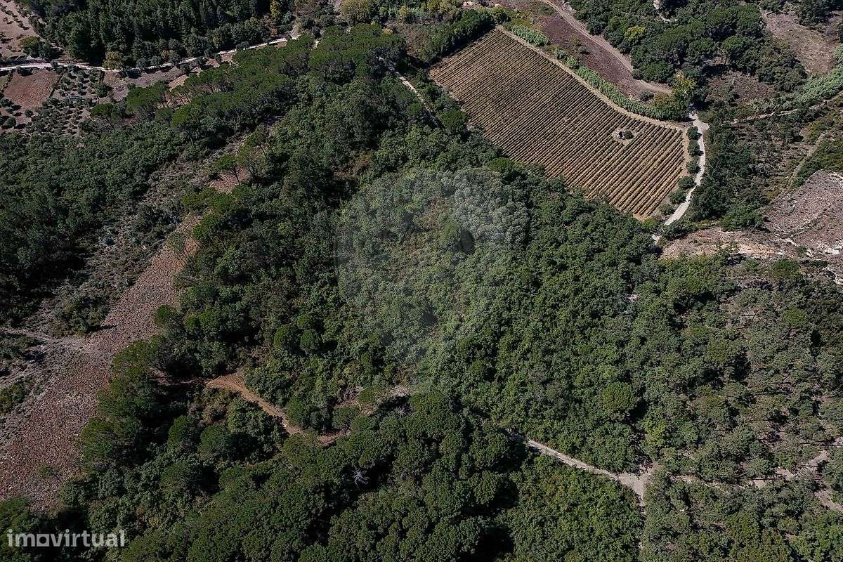 Terreno  para venda - Grande imagem: 4/11