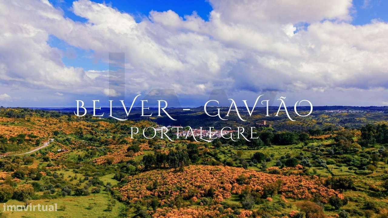 Venda Conjunta de 6 Terrenos Rústicos em Belver, Gavião – 24.360 m2 de - Grande imagem: 2/14