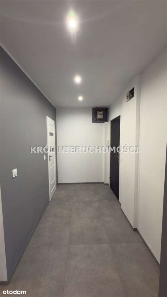 kawalerka przedzielona (dwa pokoje) Korfantego! - Pełny obrazek: 5/10