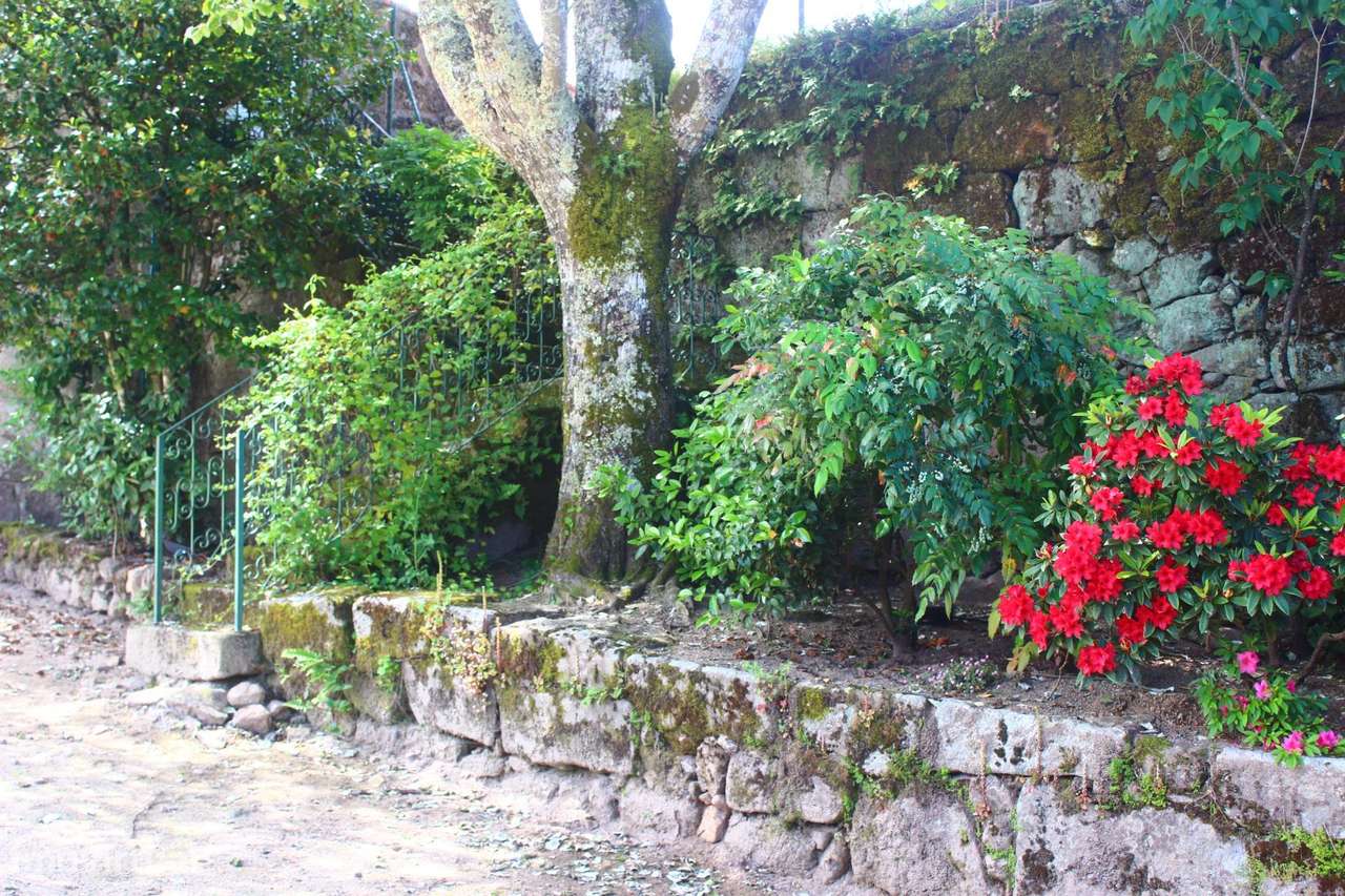 Solar do sec. XVII em Mesquitela, Mangualde-5