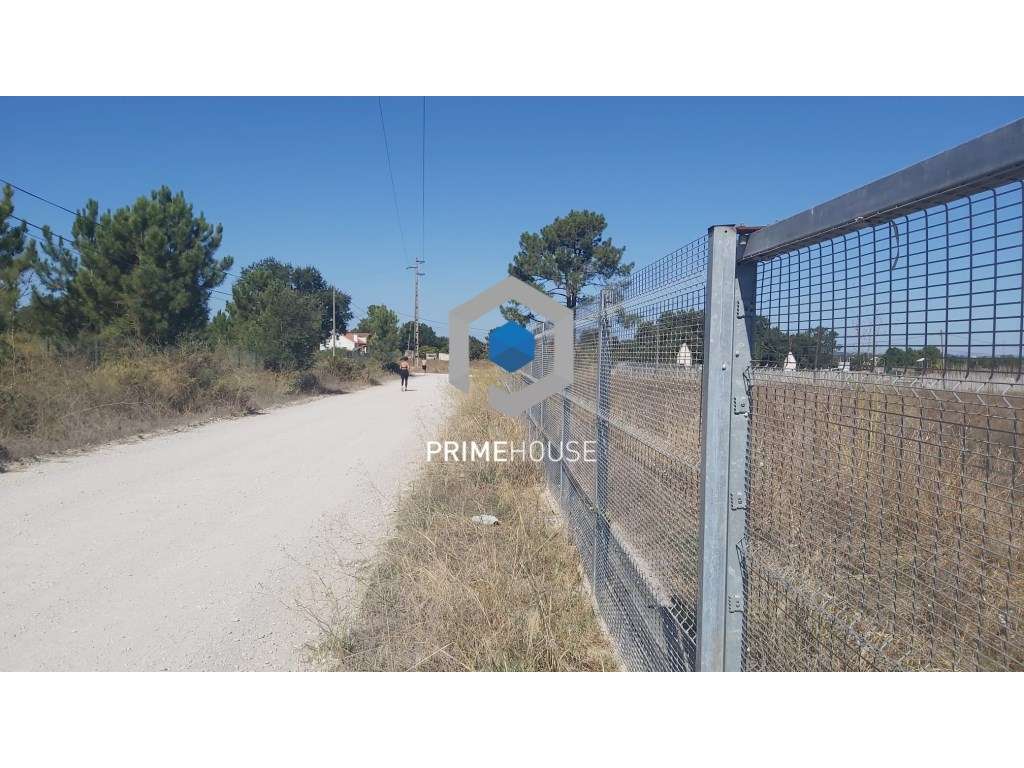 Lote de terreno industrial em Vila Amélia Azeitão - Grande imagem: 5/15