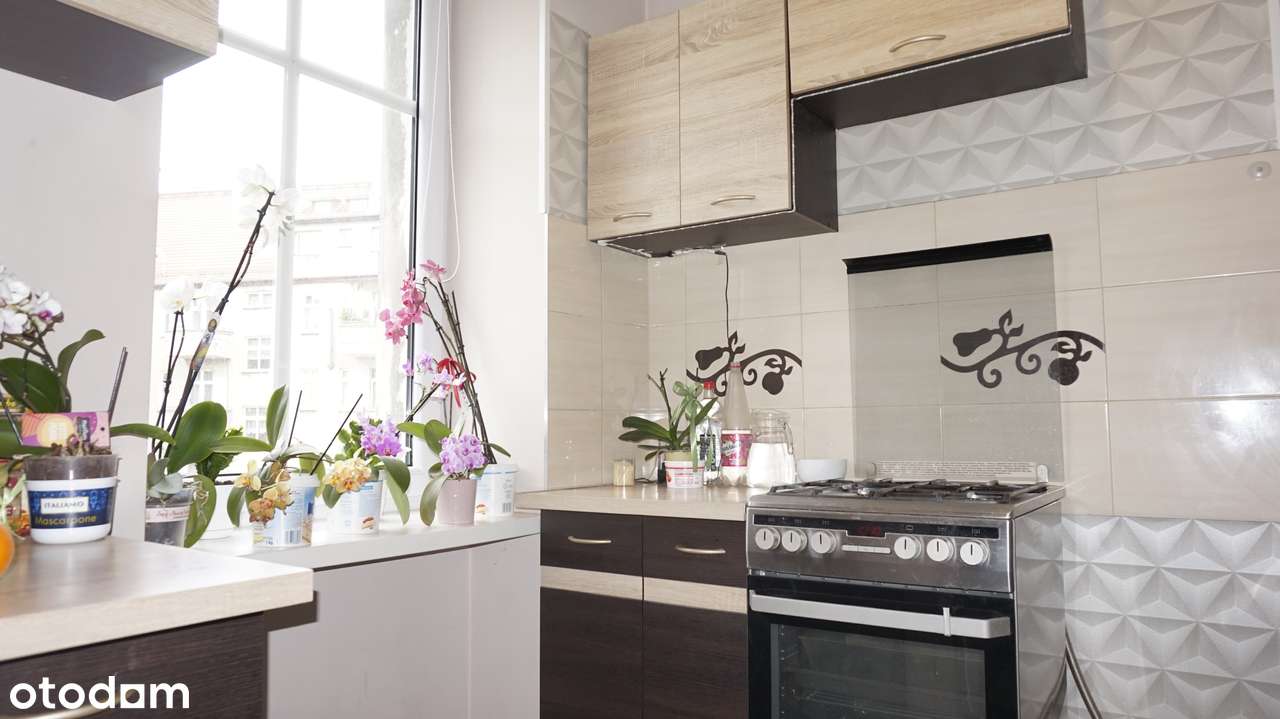 Plac Grunwaldzki - kawalerka z osobną kuchnią-0