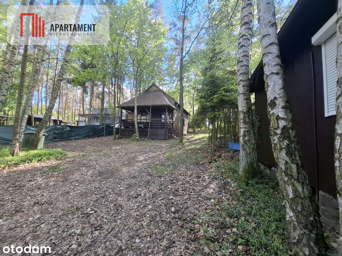 Tylko u nas! Domek nad jeziorem! cisza i spokój - Pełny obrazek: 5/12