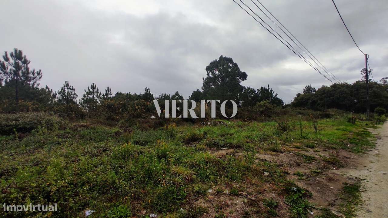 Terreno  com 16.700 m2 em Argivai - Grande imagem: 2/2