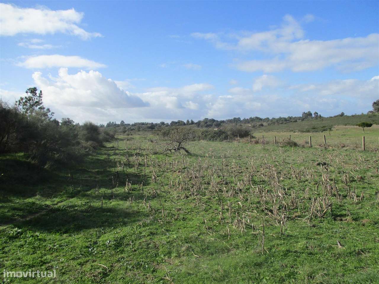 Quinta, Venda - Grande imagem: 3/22