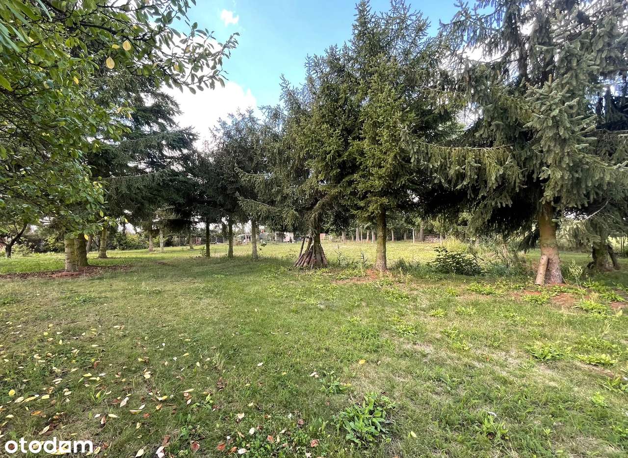 Parterowy dom na działce 4000m2 ze starodrzewiem-17