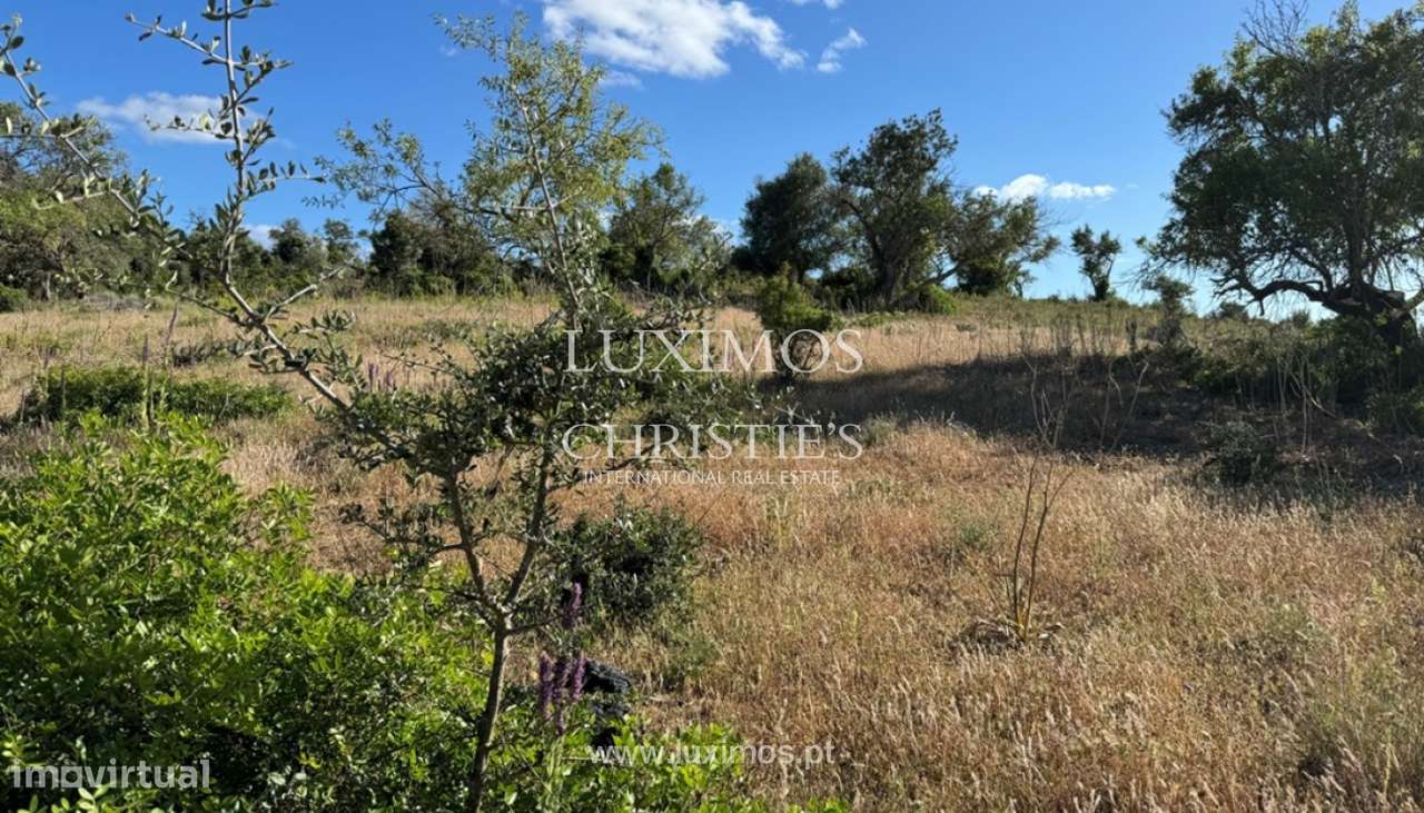 Amplo terreno para venda em Algoz, Algarve - Grande imagem: 4/5