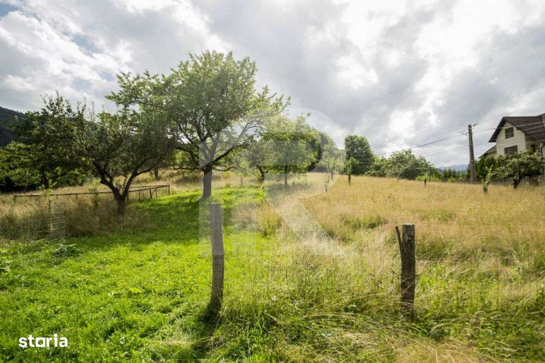 Teren investitie Bran - Predelut, la 2 km de Castelul Bran - Imagine principală: 1/10