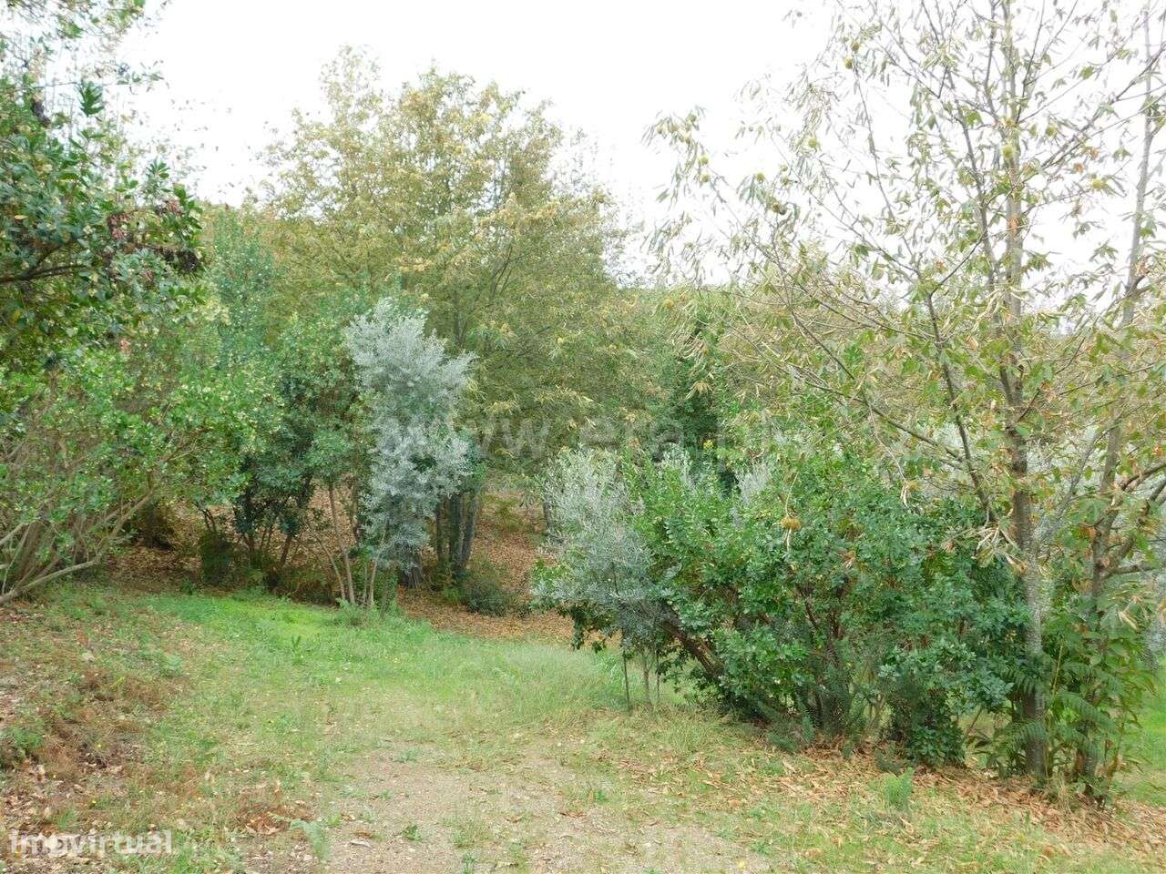 Terreno / Seia, Vila Cova à Coelheira - Grande imagem: 5/6