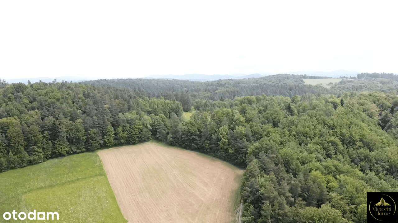 Bieszczady – wyjątkowe działki widokowe w Woli Matiaszowej. - Pełny obrazek: 4/9