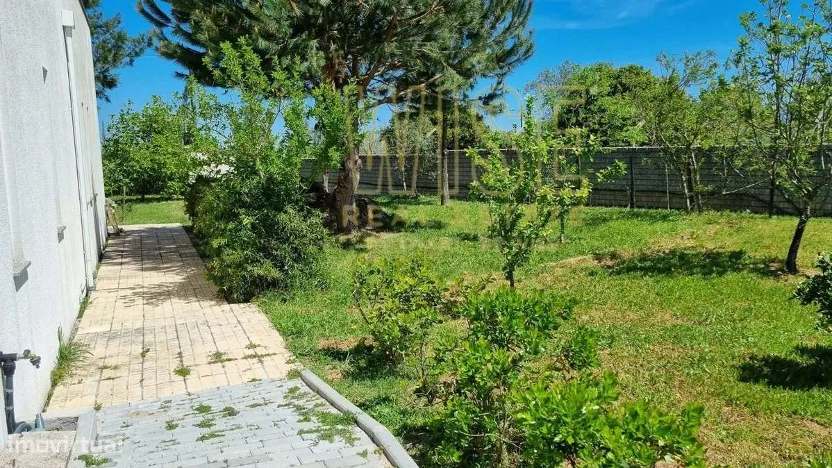 Moradia T4 em Travanca de Lagos - Grande imagem: 5/15