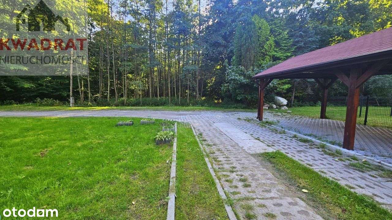 Dom przy ścianie lasu w Bażantarni obok strumyka.-19