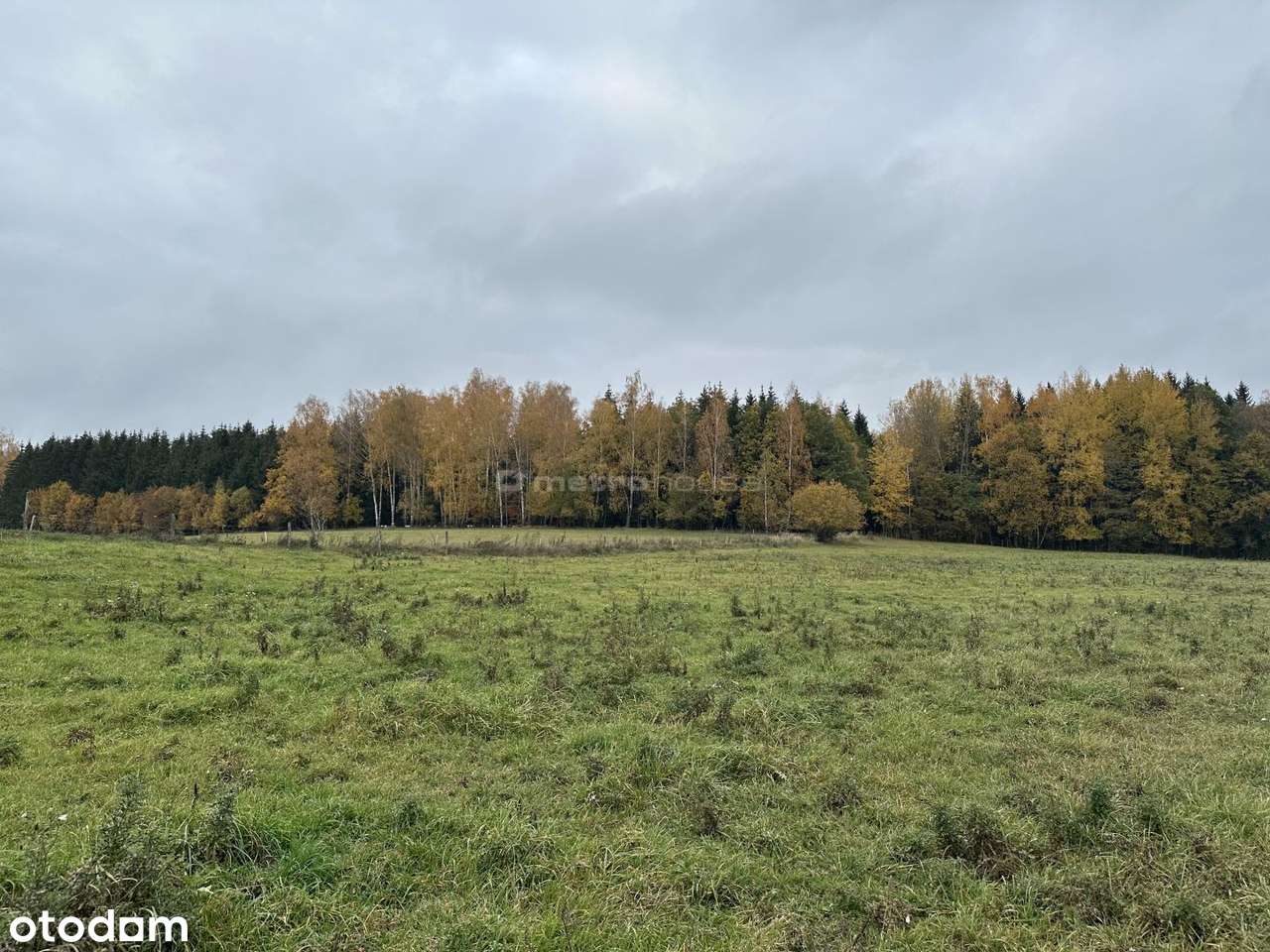 Działka rolna Róże - Mazury - 1,47 Ha - Pełny obrazek: 4/7