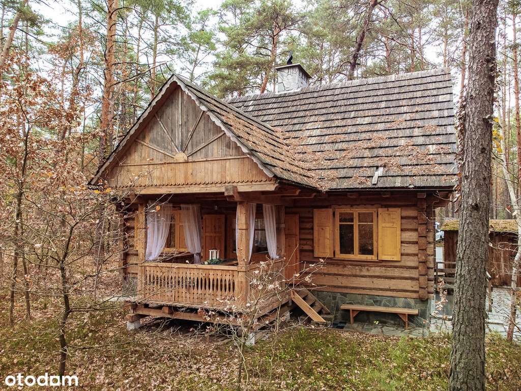 Dom z bala w stylu góralskim - las 1,5 ha-19