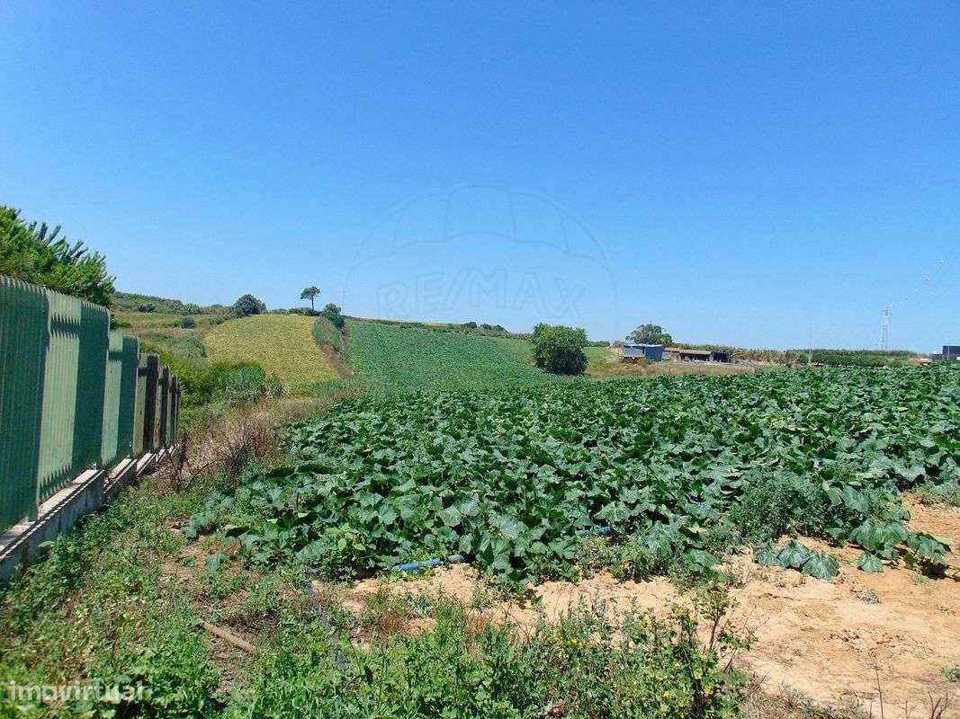 Terreno  para venda - Grande imagem: 2/6