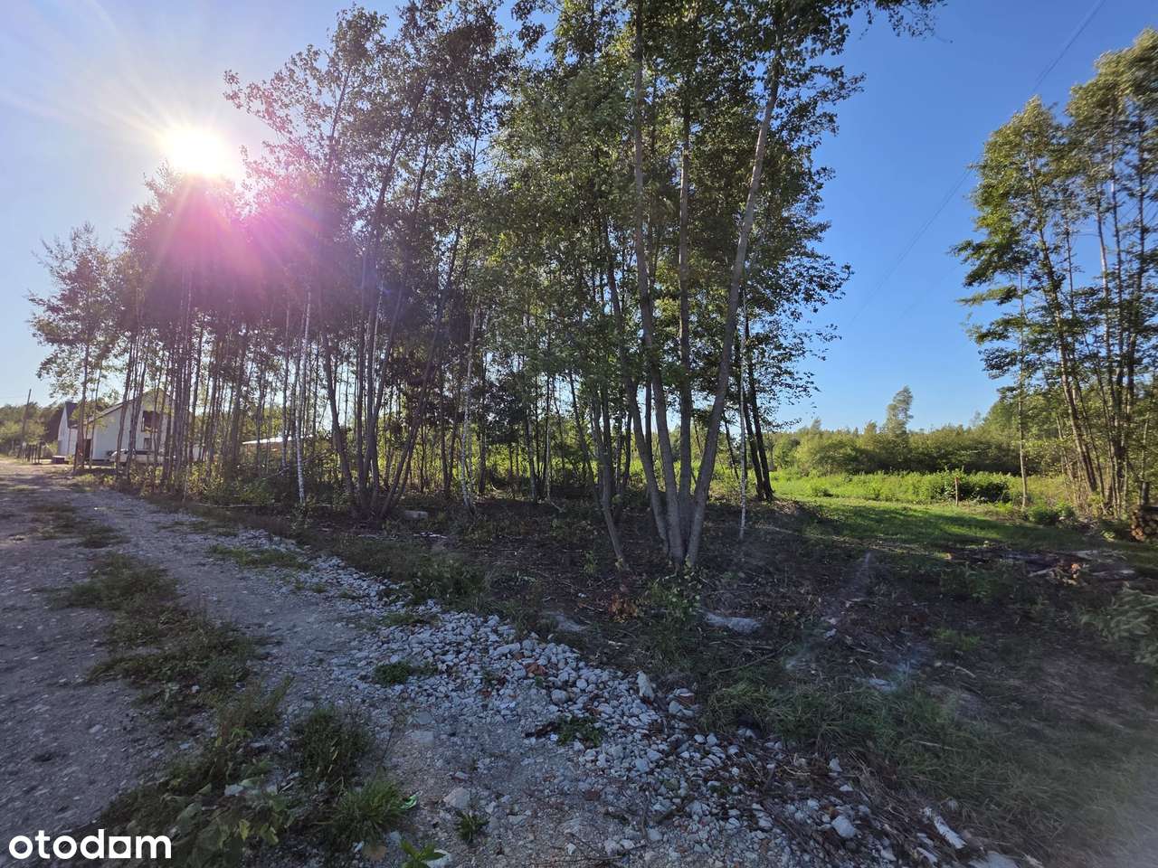 Sprzedam bezpośrednio 4 działki w Górkach (łączna wielkość 2440 m2) - Pełny obrazek: 5/6