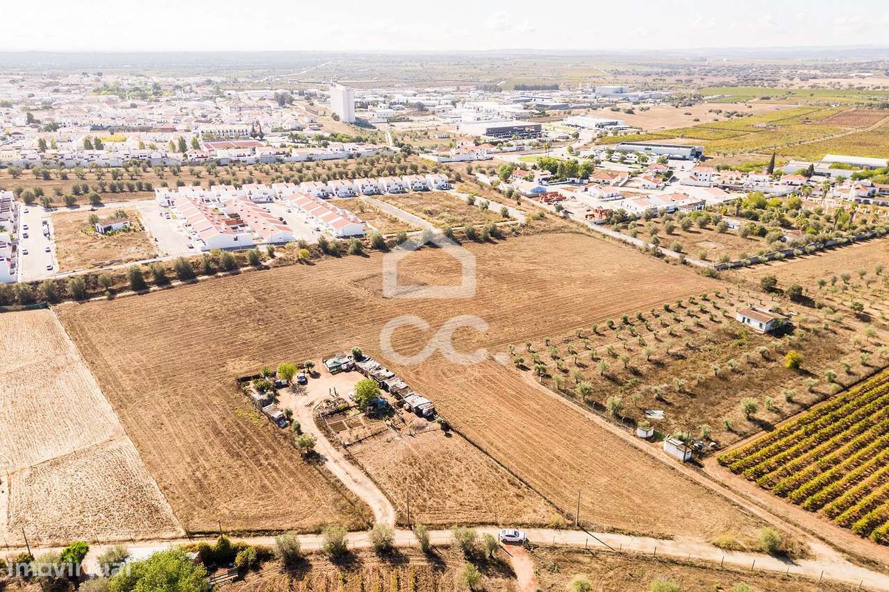Terreno de 24000 m2 para construção | Reguengos de Monsaraz - Grande imagem: 5/21