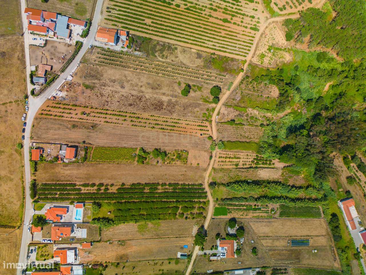 Terreno na Usseira-18