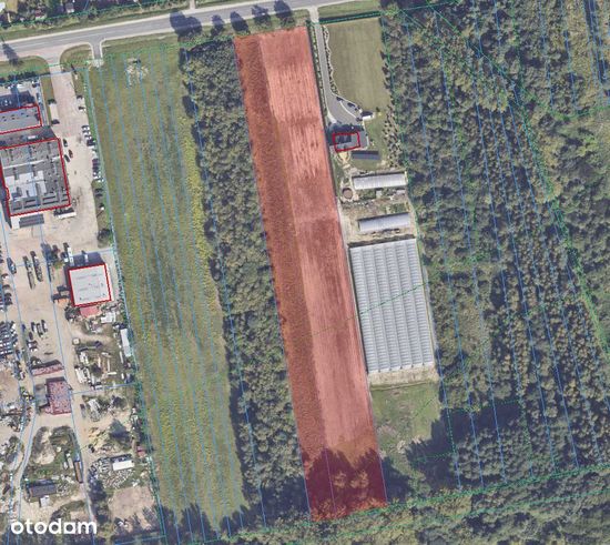 Działki 15 000 m², Przysucha