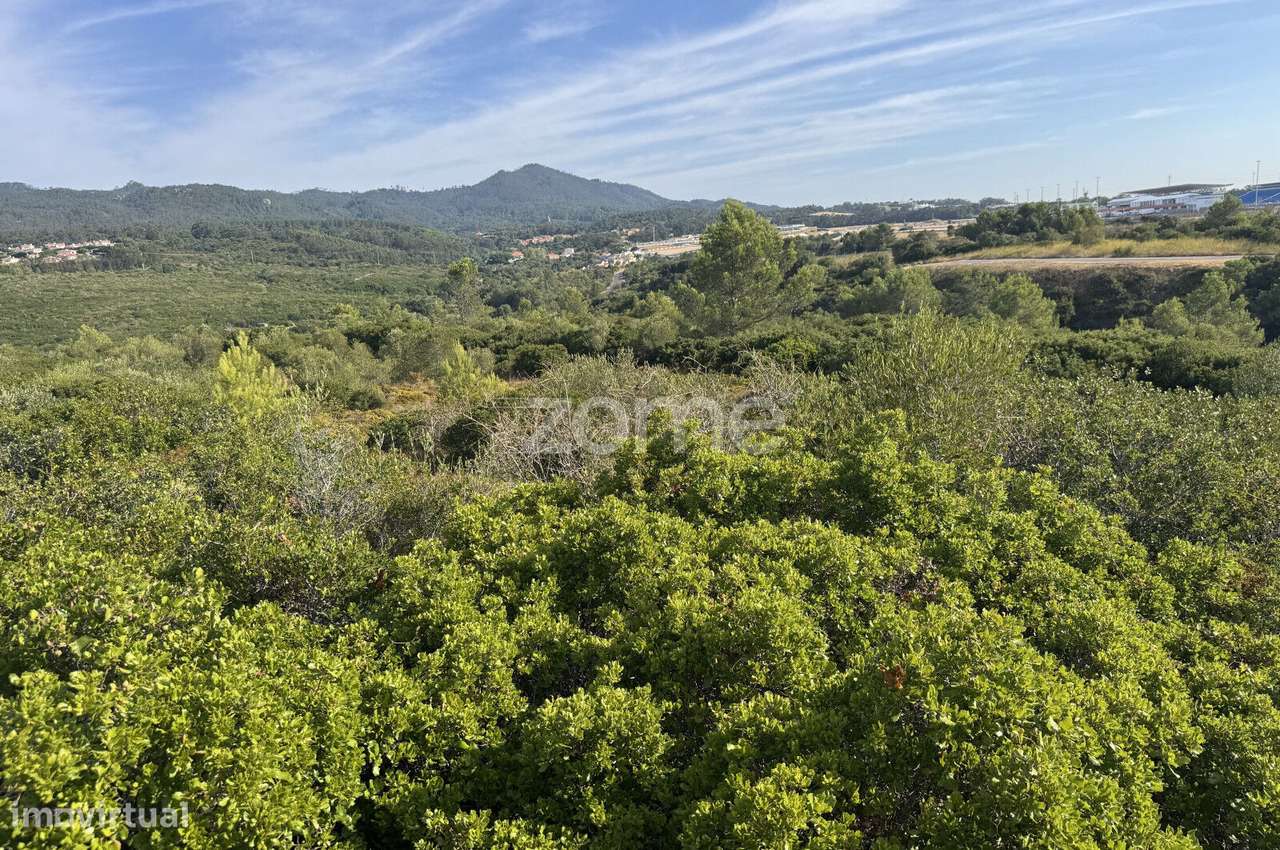 Terreno em Penha Longa 3.480m2-5