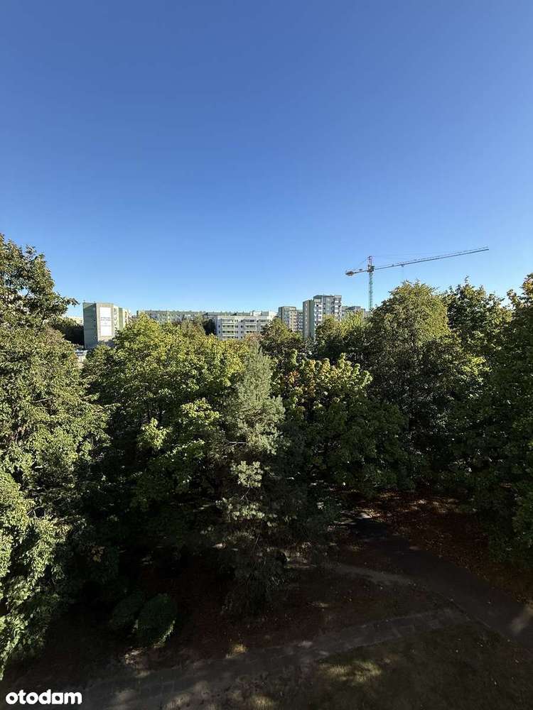 Mieszkanie INWESTYCYJNE, widok na ZIELEŃ - Pełny obrazek: 5/9