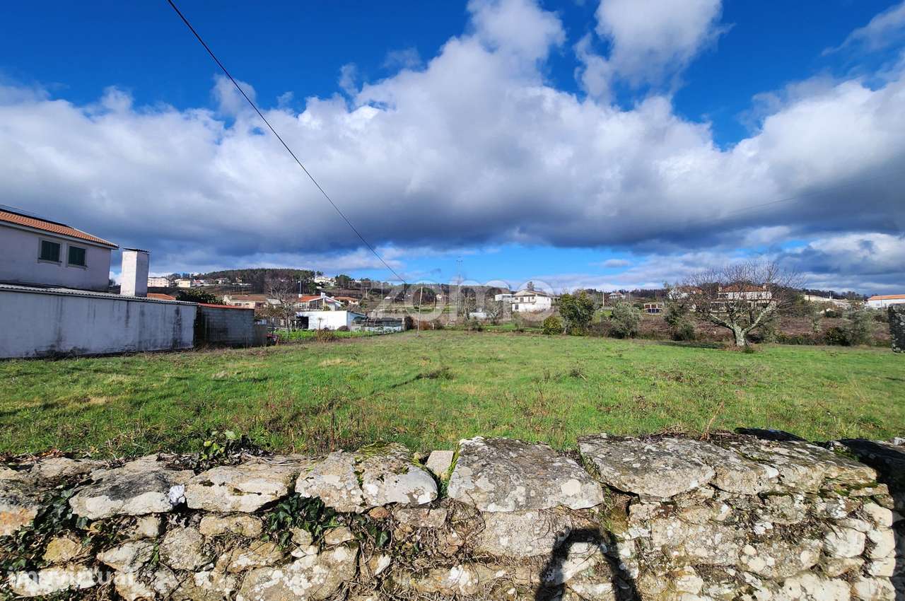 Terreno Rústico com Forte Potencial de Construção–São Martinho d'An... - Grande imagem: 4/15
