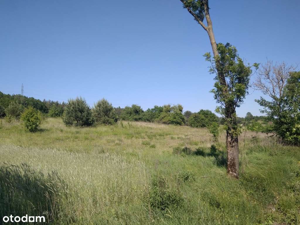 TANIA Dz. bud., Łęgowo, woj. Lubuskie, 36972zł-0