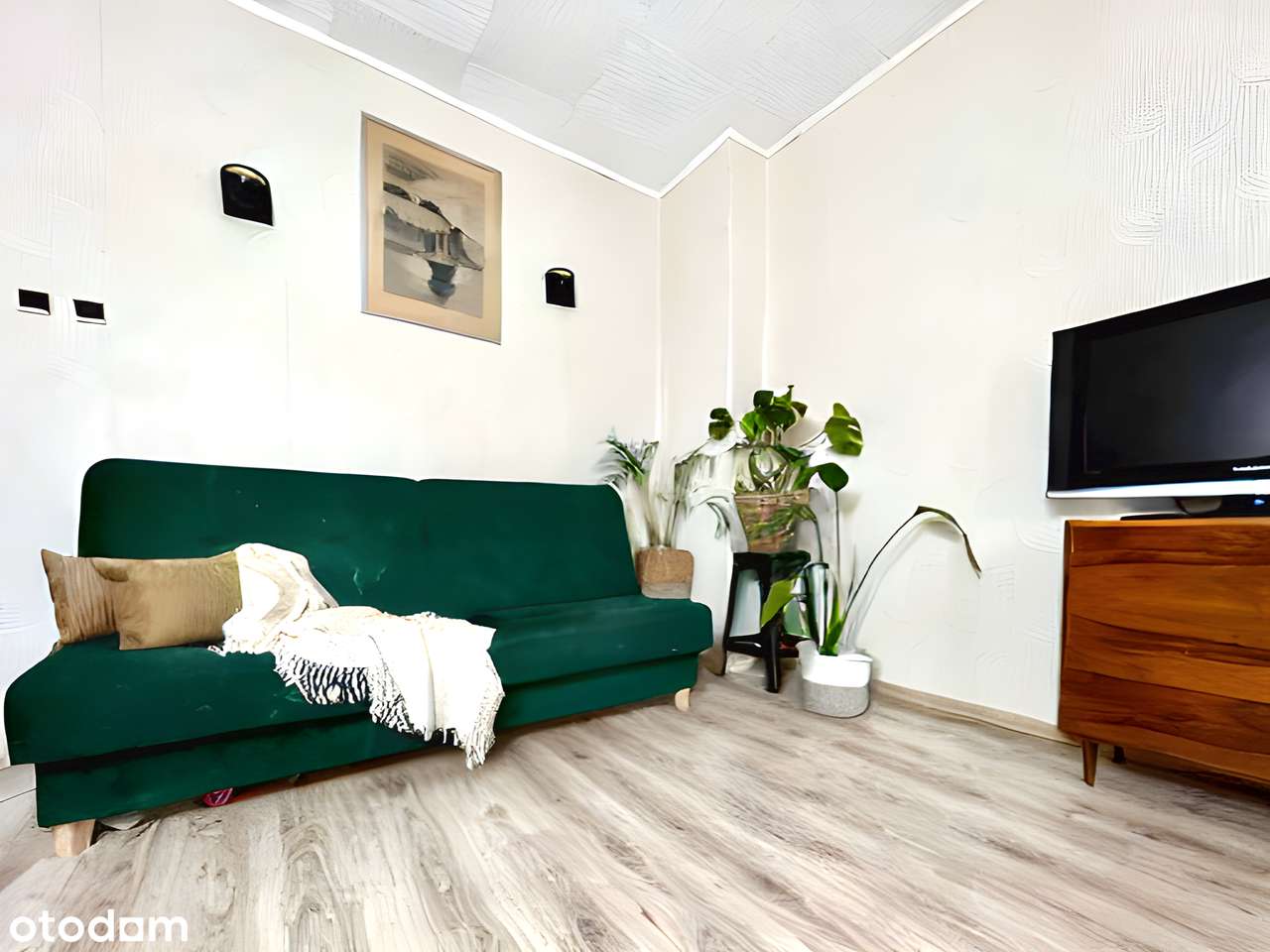 2M| KAMIENICA_oddzielna kuchnia_balkon_piwnica| TYLKO U NAS!-5