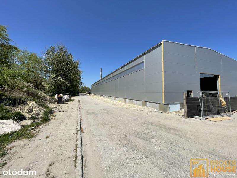 Obiekt, 1250.0 m², Opole - Pełny obrazek: 2/4