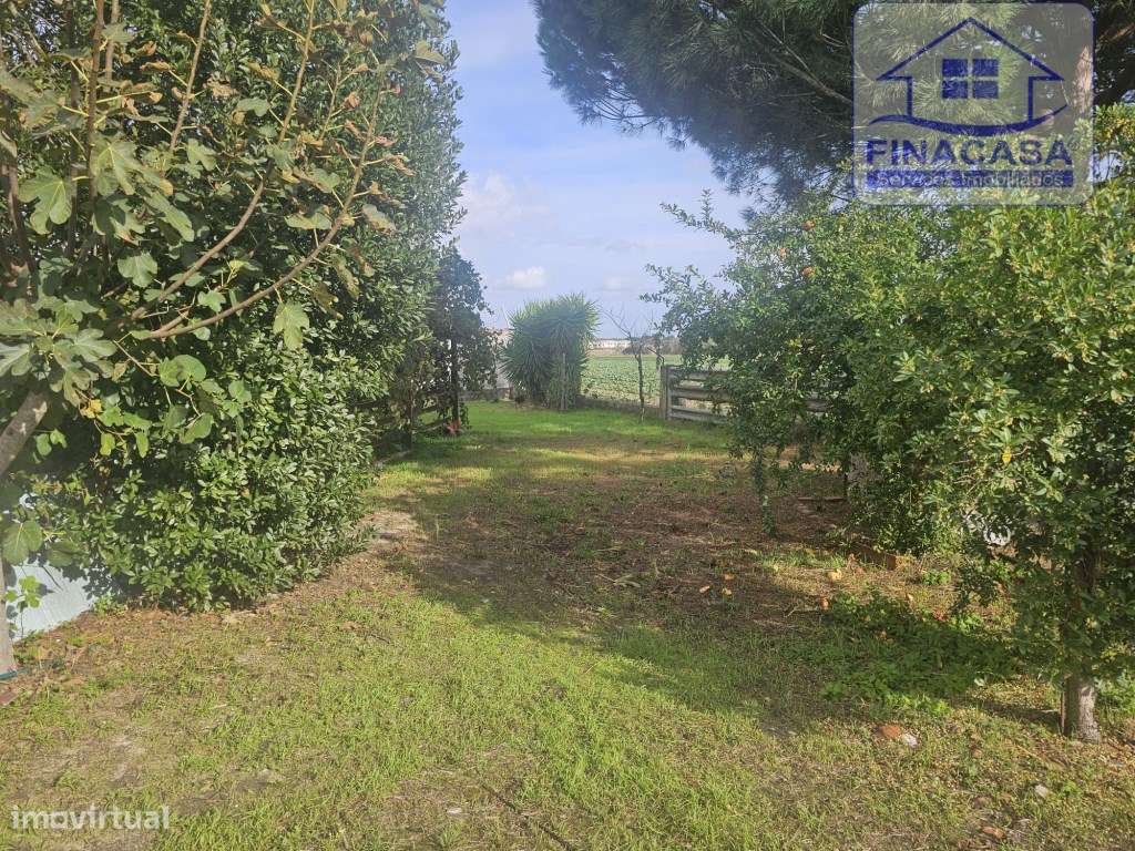 EXCLUSIVO - Quinta com 2069 m2, T1 e um armazém - Asseiceira(Palmela)-29