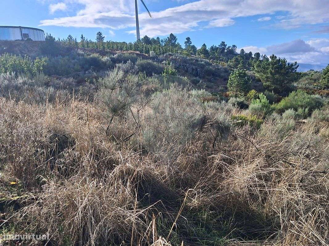 Terreno  para venda - Grande imagem: 5/14