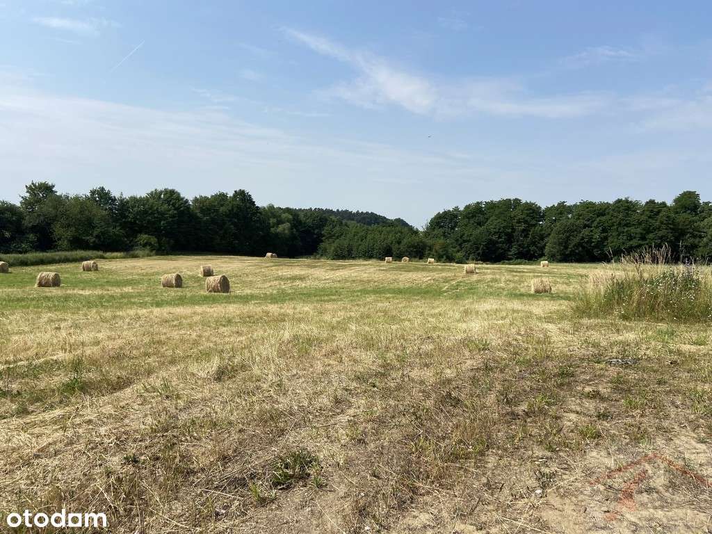 ostatnie działki_Atrakcyjna działka  Glinna - Pełny obrazek: 4/6