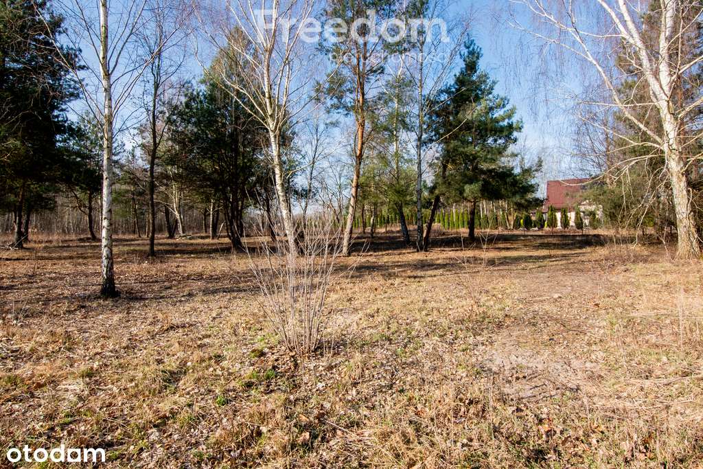 Działka budowlana w odległości 500m od trasy E7 - Pełny obrazek: 5/20