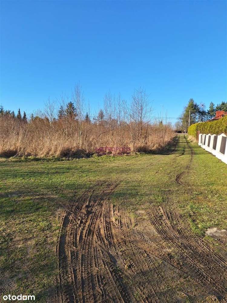 DziałkI Rybnik Raciborska Cena Do Negocjacji - Pełny obrazek: 3/6