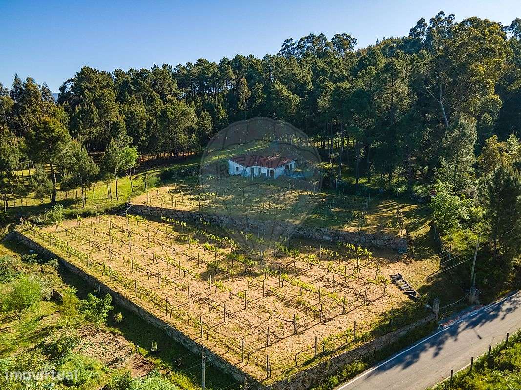 Terreno  para venda - Grande imagem: 5/16