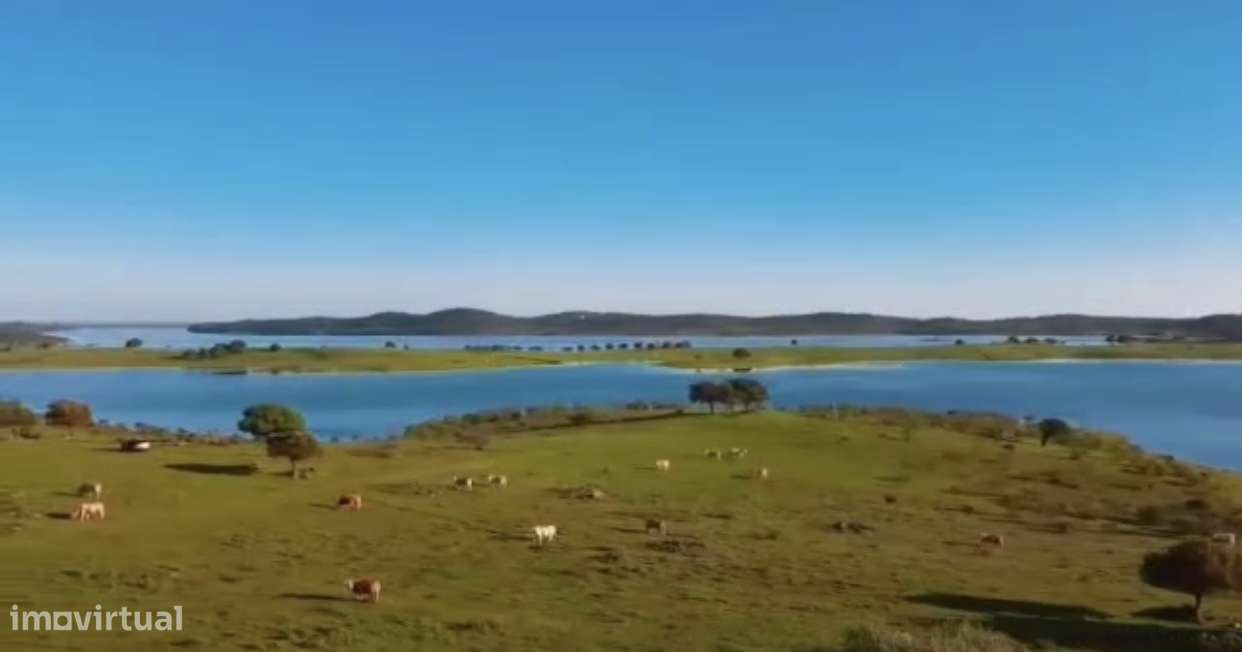 Terreno de 158.000 m2 nas margens do Alqueva - Grande imagem: 5/15