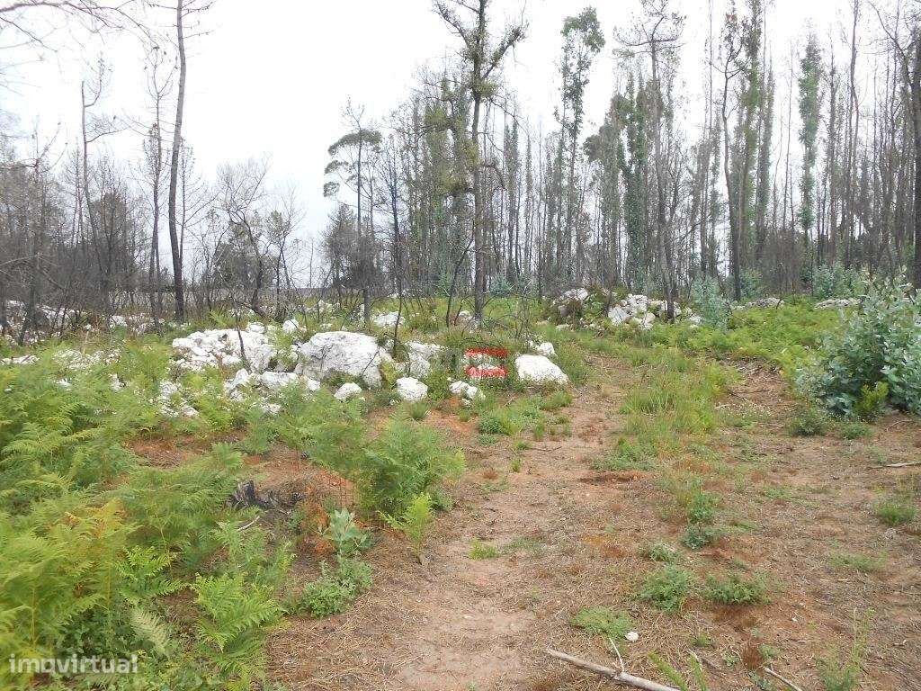 Terreno - Grande imagem: 4/16