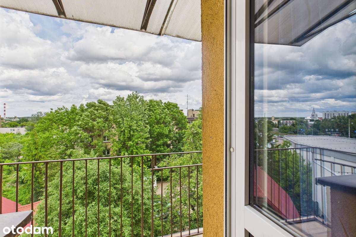 Zobacz, Jak Wygląda Cisza i Zieleń w Samym Centrum Miasta TERAZ!-5