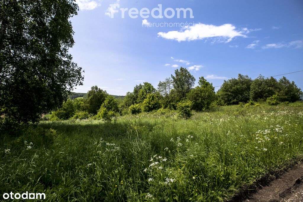 1,38 ha pod siedlisko, pasiekę lub fotowoltaikę - Pełny obrazek: 3/18