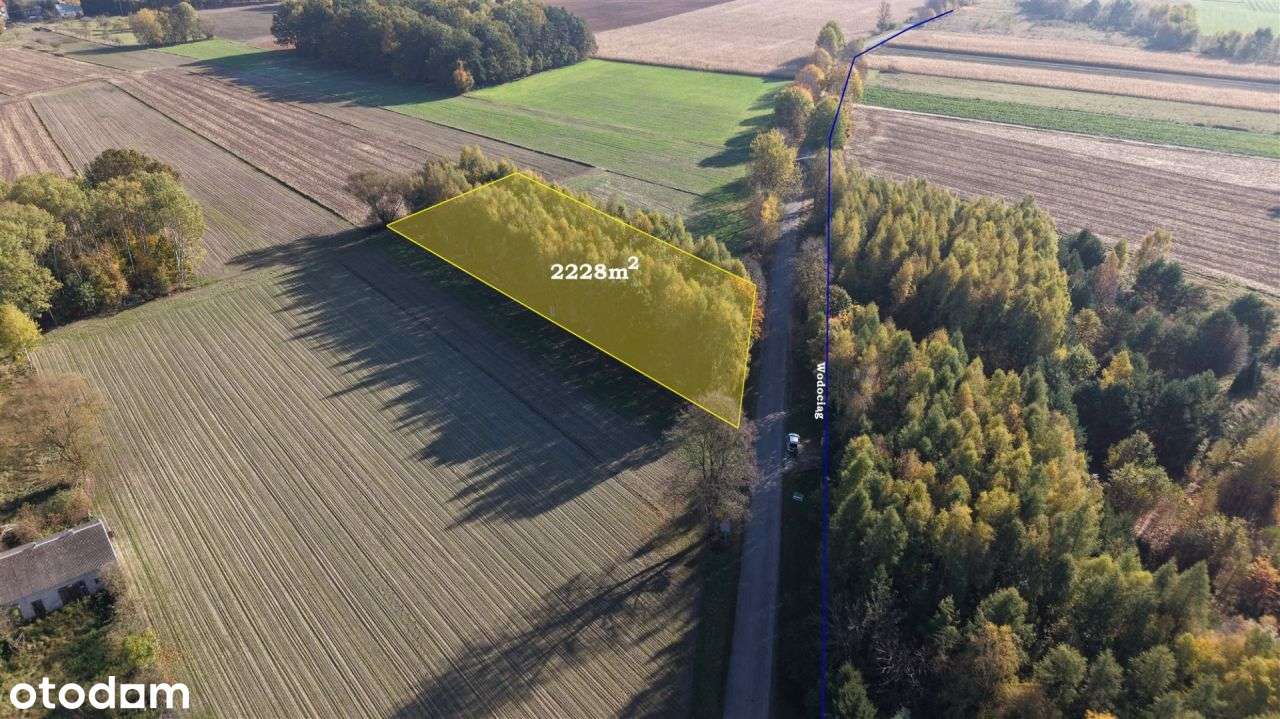 Duża zadrzewiona działka nieopodal Wkry.-11